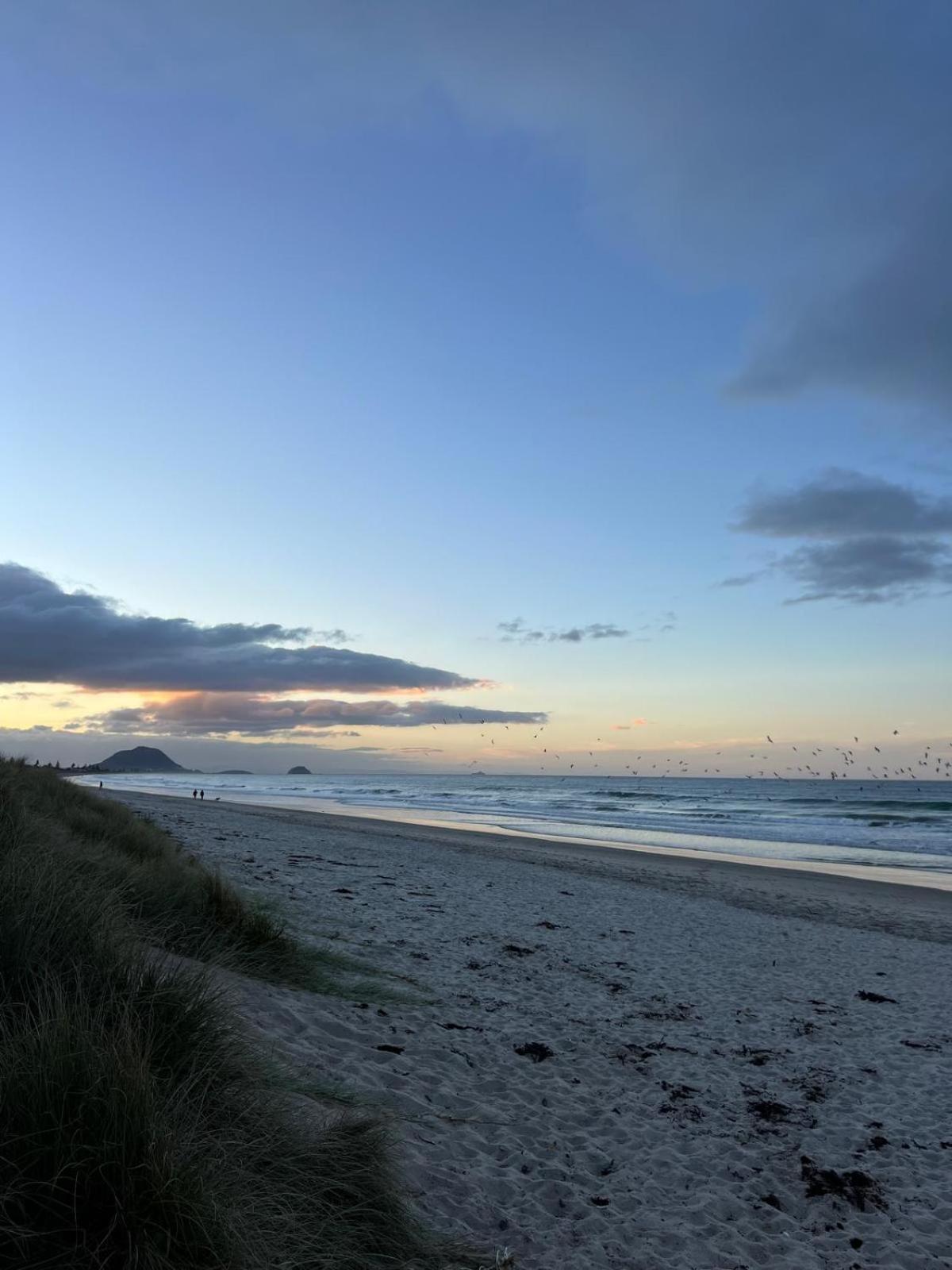Papamoa Beach, Pohutukawa Deluxe Studio, On Hugoway Exteriér fotografie